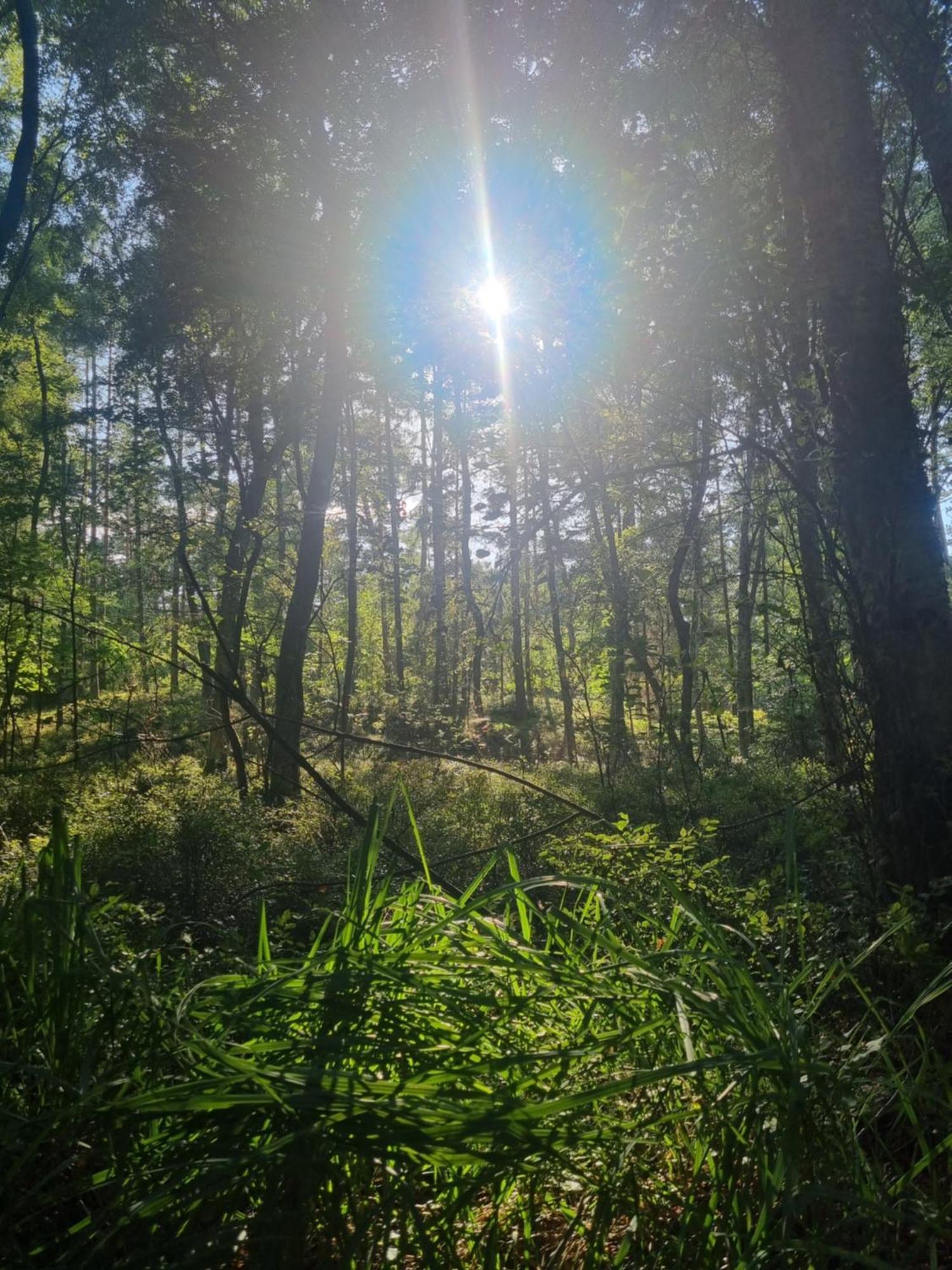 Nadmorz Sztutowo Villa Buitenkant foto